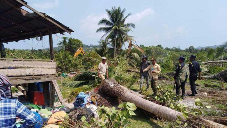Representatives from Union Development Group inspect land in Koh Kong province’s Kiri Sakor district. The development firm is accused of using bulldozers to destroy crops and trees belonging to seven families it is locked in land disputes with. Adhoc