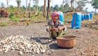 Profit from ELCs ‘doesn’t rectify ecological impact’ 