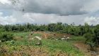 Pursat sanctuary encroachers given final warning