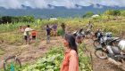 Pursat encroachers told to clear out