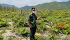 Kampong Speu governor orders intruders off state forest land