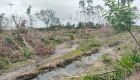 Ex-district police chief under probe over land encroachment in Koh Kong
