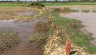 Takeo orders removal of border posts on state land