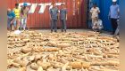 Judicial officers, WCS tackle wildlife trade