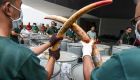 SE Asia needs plan to tackle wildlife trade